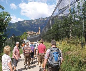 24987251Suedtirol_2015_02.jpg